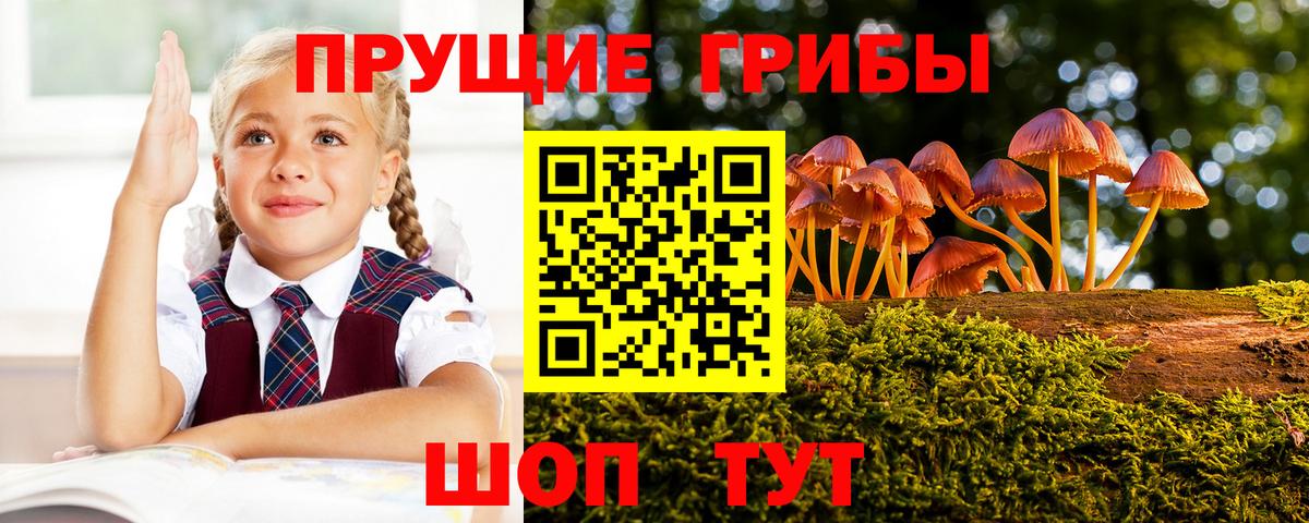 купить   Псилоцибиновые грибы ЛСД  Вход с VPN  Бугульма 